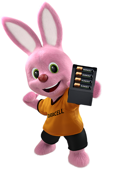 Bunny holding battery charger with 4 batteries inside